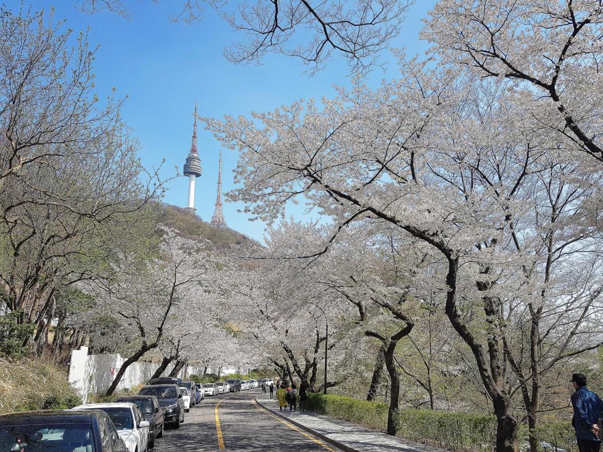 호스텔 남산 서울특별시